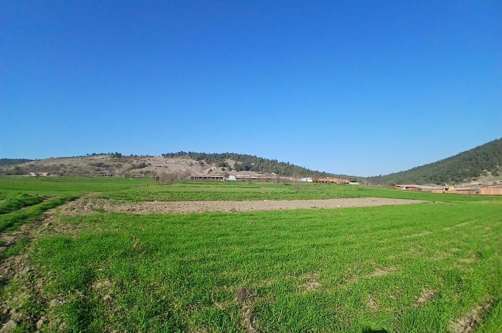 C21 LOCA'DAN BİGADİÇ ÇAMKÖY'DE GÖL MANZARALI 878M2 SATILIK TARLA