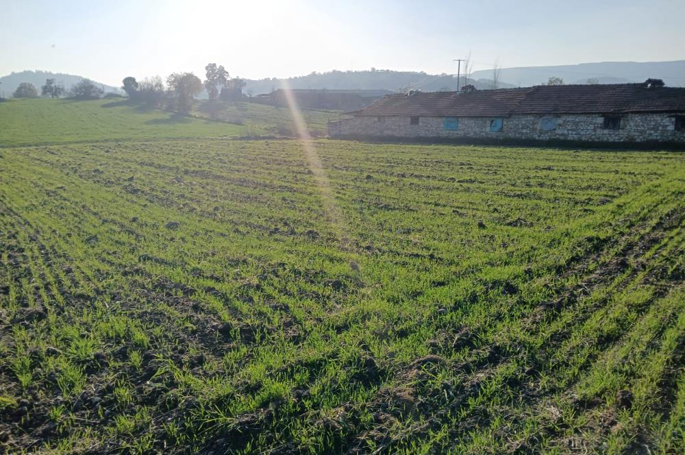 C21 LOCA'DAN BİGADİÇ ÇAMKÖY MAHALLE İÇİNDE 896,33M2SATILIK TARLA