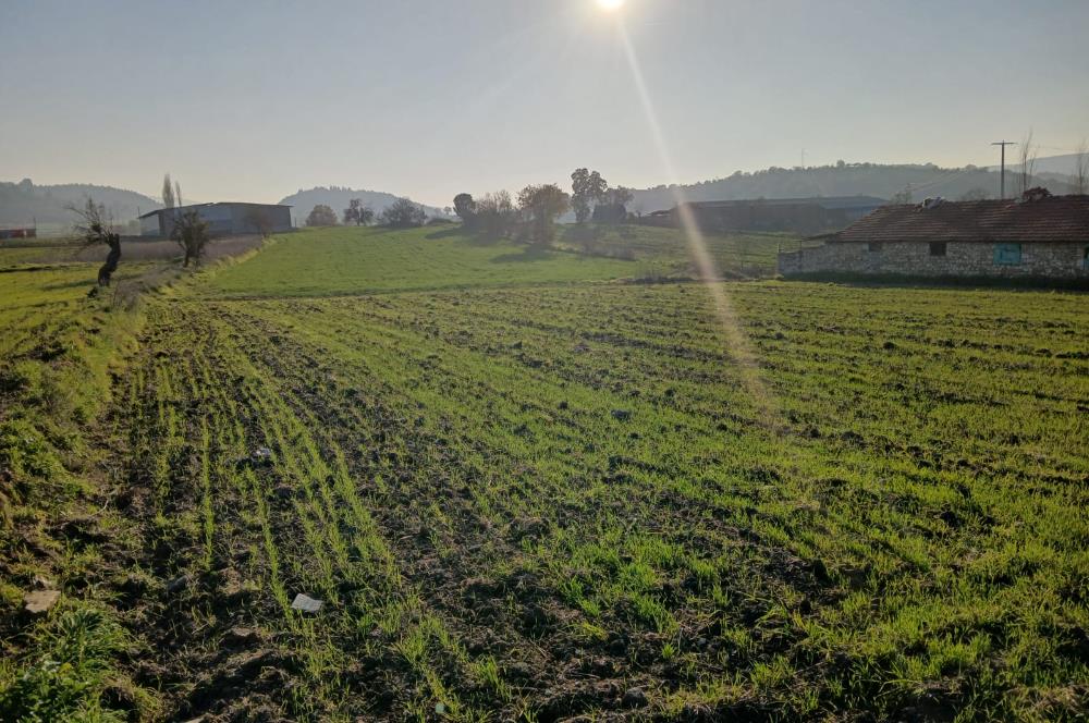 C21 LOCA'DAN BİGADİÇ ÇAMKÖY MAHALLE İÇİNDE 896,33M2SATILIK TARLA