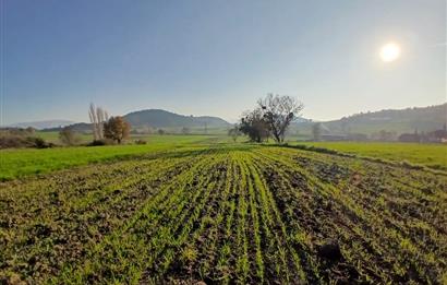 C21 LOCA'DAN BİGADİÇ ÇAMKÖY'DE BARAJ MANZARALI SATILIK ARAZİ