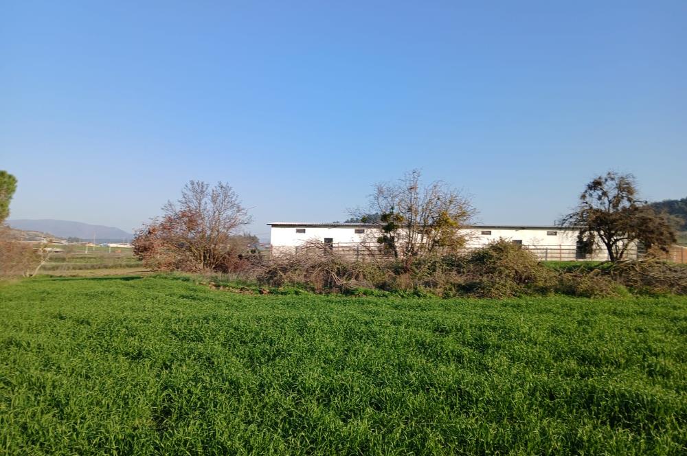 C21 LOCA'DAN BİGADİÇ ÇAMKÖY'DE BARAJ MANZARALI SATILIK ARAZİ