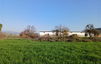 C21 LOCA'DAN BİGADİÇ ÇAMKÖY'DE BARAJ MANZARALI SATILIK ARAZİ