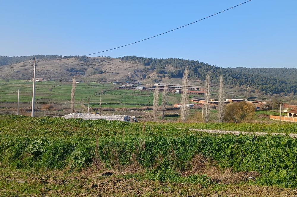 C21 LOCA'DAN BİGADİÇ ÇAMKÖY MAHALLE İÇİNDE 896,33M2SATILIK TARLA