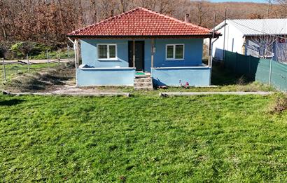 C21 Cius; Haydariye Köyünde Doğa içinde Bahçeli Müstakil Ev