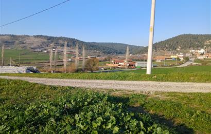 C21 LOCA'DAN BİGADİÇ ÇAMKÖY MAHALLE İÇİNDE 896,33M2SATILIK TARLA