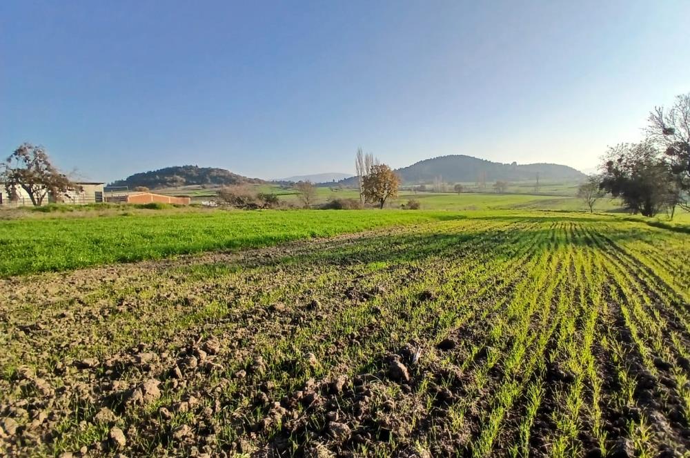 C21 LOCA'DAN BİGADİÇ ÇAMKÖY'DE BARAJ MANZARALI SATILIK ARAZİ