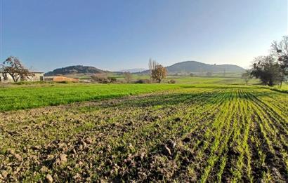 C21 LOCA'DAN BİGADİÇ ÇAMKÖY'DE BARAJ MANZARALI SATILIK ARAZİ