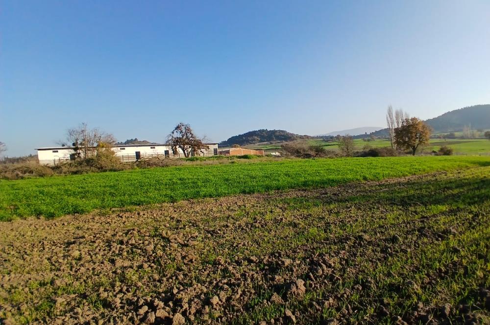 C21 LOCA'DAN BİGADİÇ ÇAMKÖY'DE BARAJ MANZARALI SATILIK ARAZİ