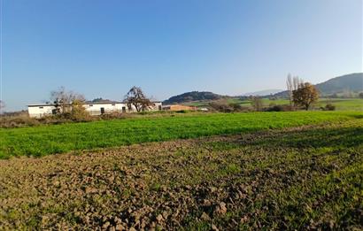 C21 LOCA'DAN BİGADİÇ ÇAMKÖY'DE BARAJ MANZARALI SATILIK ARAZİ