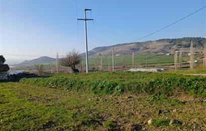 C21 LOCA'DAN BİGADİÇ ÇAMKÖY MAHALLE İÇİNDE 896,33M2SATILIK TARLA