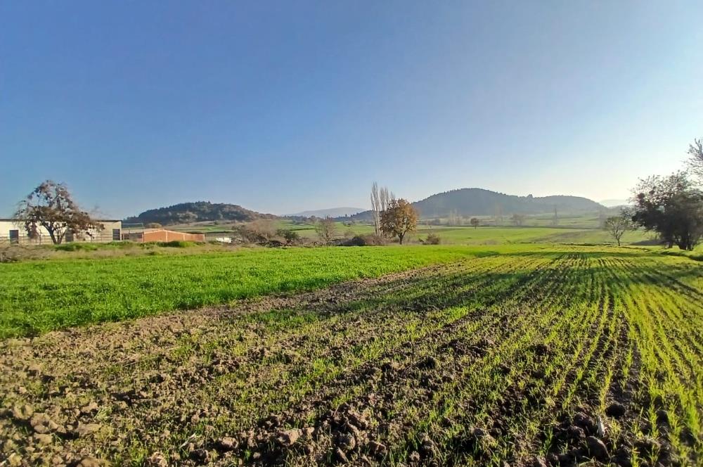 C21 LOCA'DAN BİGADİÇ ÇAMKÖY'DE BARAJ MANZARALI SATILIK ARAZİ