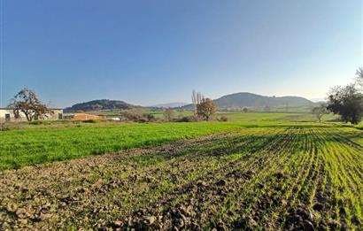 C21 LOCA'DAN BİGADİÇ ÇAMKÖY'DE BARAJ MANZARALI SATILIK ARAZİ