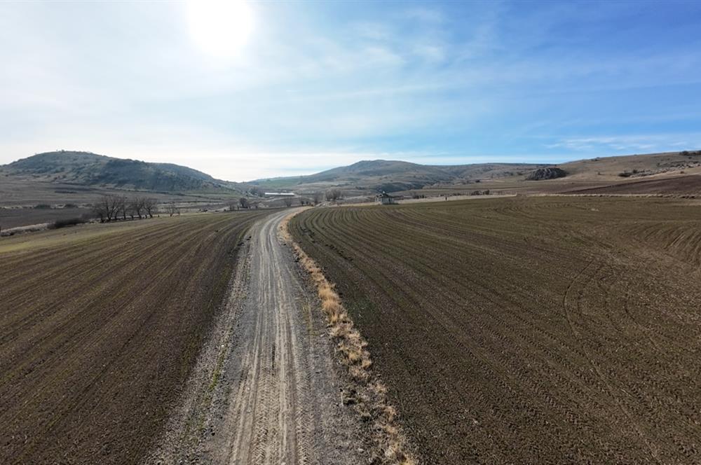 Oyaca Yeşilçam Satılık İmarlı Arsa