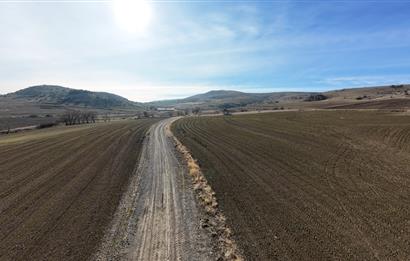 Oyaca Yeşilçam Satılık İmarlı Arsa