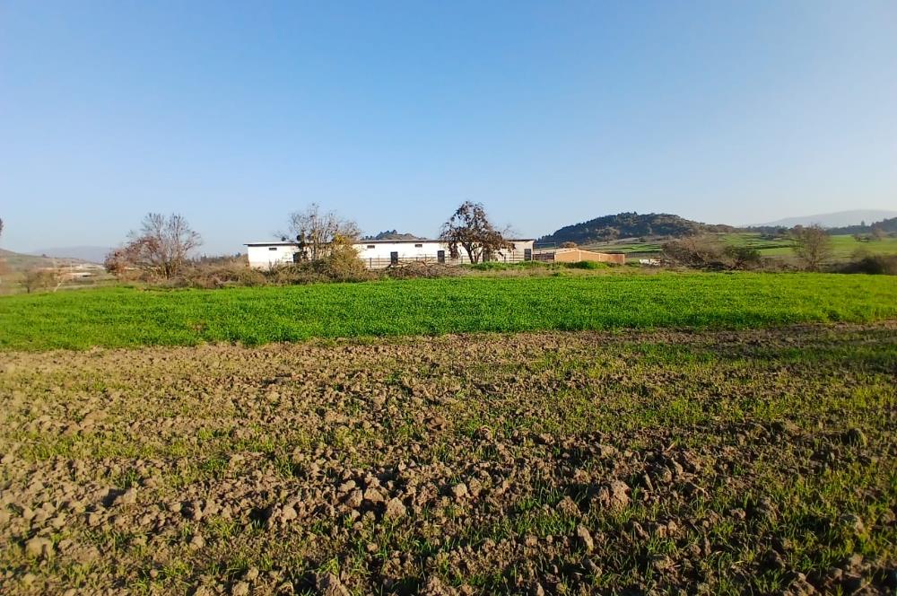 C21 LOCA'DAN BİGADİÇ ÇAMKÖY'DE BARAJ MANZARALI SATILIK ARAZİ