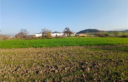 C21 LOCA'DAN BİGADİÇ ÇAMKÖY'DE BARAJ MANZARALI SATILIK ARAZİ