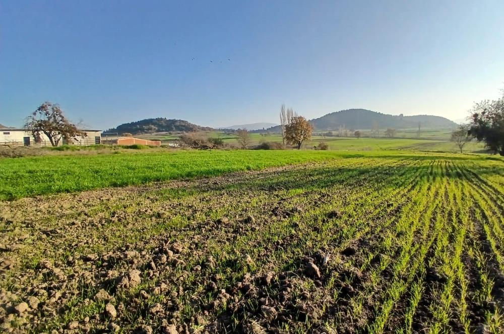 C21 LOCA'DAN BİGADİÇ ÇAMKÖY'DE BARAJ MANZARALI SATILIK ARAZİ