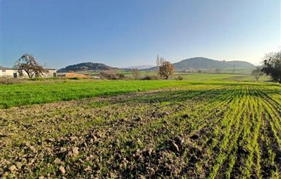 C21 LOCA'DAN BİGADİÇ ÇAMKÖY'DE BARAJ MANZARALI SATILIK ARAZİ