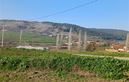 C21 LOCA'DAN BİGADİÇ ÇAMKÖY MAHALLE İÇİNDE 896,33M2SATILIK TARLA