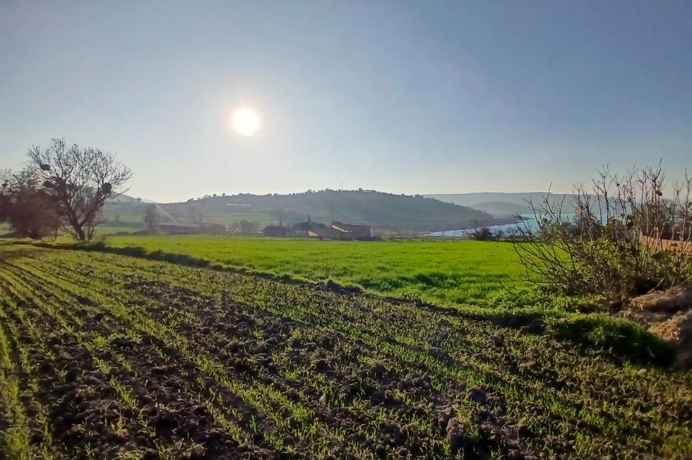 C21 LOCA'DAN BİGADİÇ ÇAMKÖY'DE BARAJ MANZARALI SATILIK ARAZİ