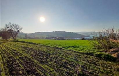 C21 LOCA'DAN BİGADİÇ ÇAMKÖY'DE BARAJ MANZARALI SATILIK ARAZİ