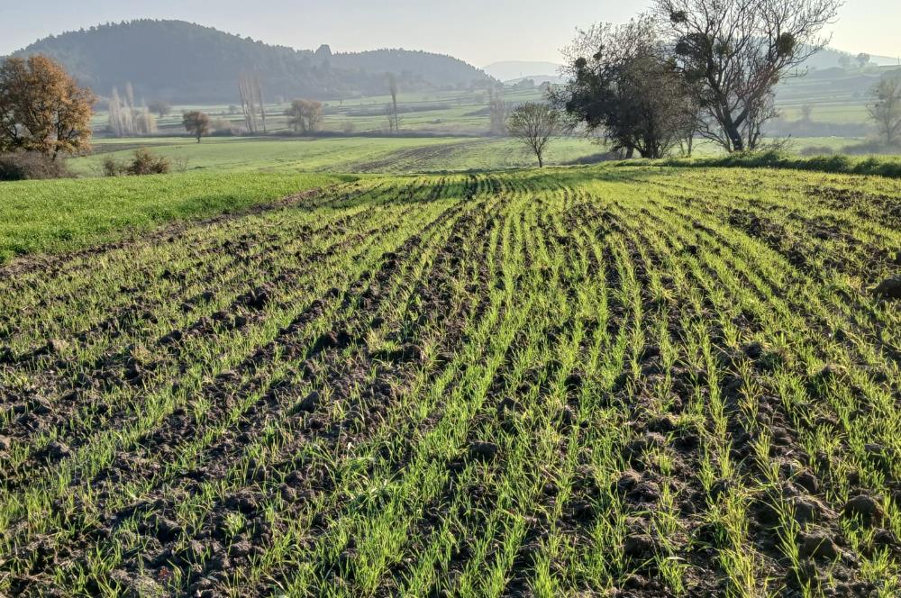 C21 LOCA'DAN BİGADİÇ ÇAMKÖY'DE BARAJ MANZARALI SATILIK ARAZİ