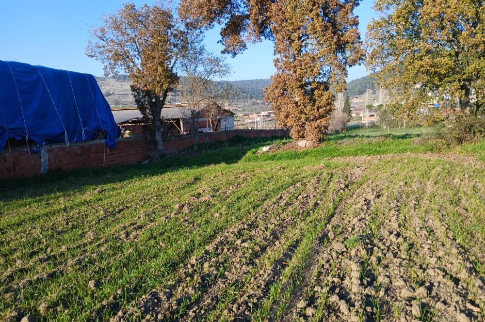 C21 LOCA'DAN BİGADİÇ ÇAMKÖY'DE BARAJ MANZARALI SATILIK ARAZİ