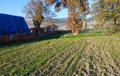 C21 LOCA'DAN BİGADİÇ ÇAMKÖY'DE BARAJ MANZARALI SATILIK ARAZİ