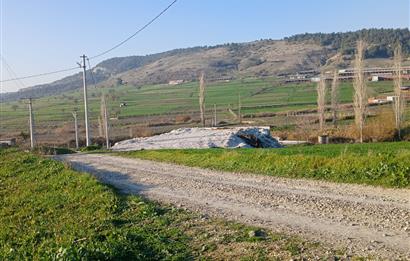 C21 LOCA'DAN BİGADİÇ ÇAMKÖY MAHALLE İÇİNDE 896,33M2SATILIK TARLA