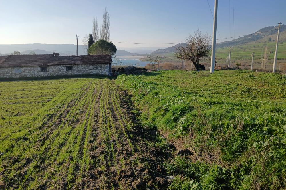 C21 LOCA'DAN BİGADİÇ ÇAMKÖY MAHALLE İÇİNDE 896,33M2SATILIK TARLA