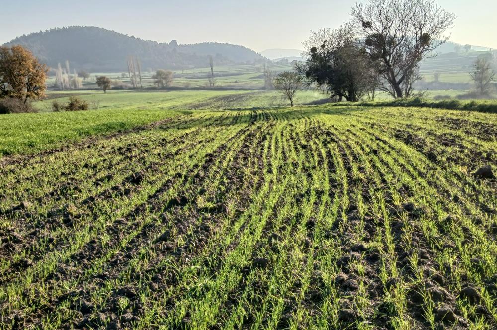 C21 LOCA'DAN BİGADİÇ ÇAMKÖY'DE BARAJ MANZARALI SATILIK ARAZİ