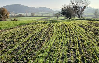 C21 LOCA'DAN BİGADİÇ ÇAMKÖY'DE BARAJ MANZARALI SATILIK ARAZİ