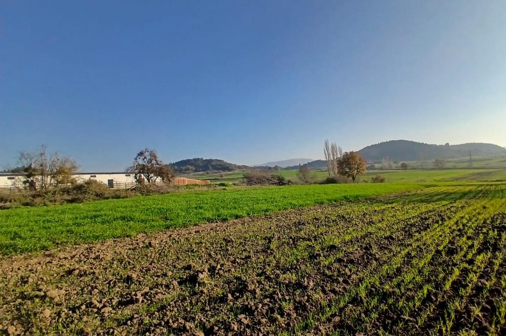 C21 LOCA'DAN BİGADİÇ ÇAMKÖY'DE BARAJ MANZARALI SATILIK ARAZİ