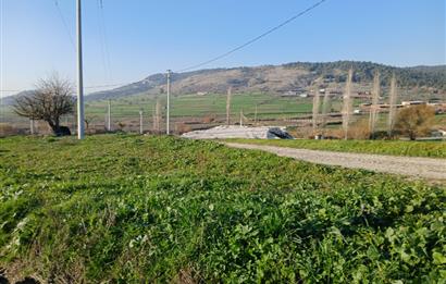 C21 LOCA'DAN BİGADİÇ ÇAMKÖY MAHALLE İÇİNDE 896,33M2SATILIK TARLA