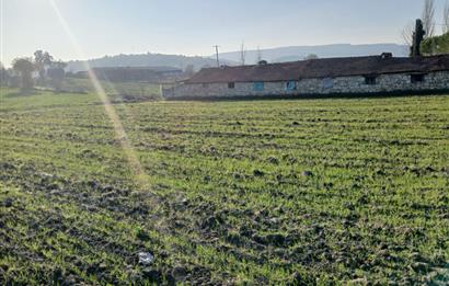 C21 LOCA'DAN BİGADİÇ ÇAMKÖY MAHALLE İÇİNDE 896,33M2SATILIK TARLA