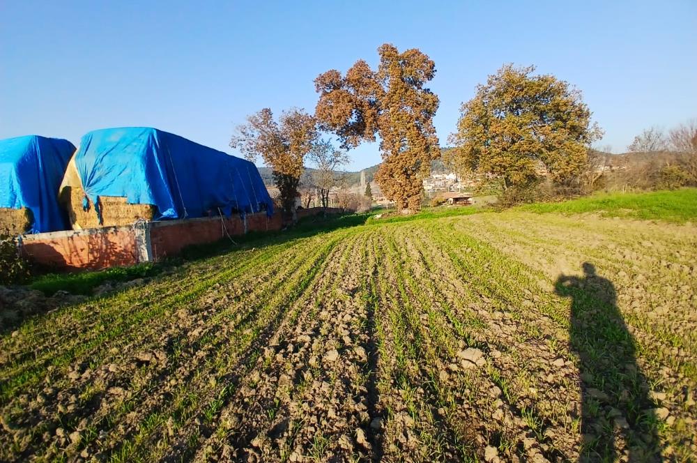 C21 LOCA'DAN BİGADİÇ ÇAMKÖY'DE BARAJ MANZARALI SATILIK ARAZİ