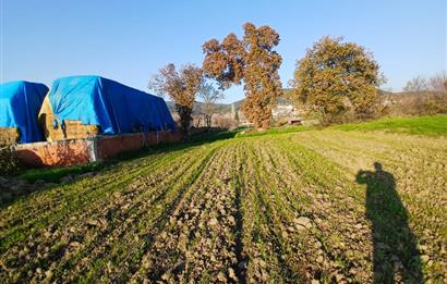 C21 LOCA'DAN BİGADİÇ ÇAMKÖY'DE BARAJ MANZARALI SATILIK ARAZİ