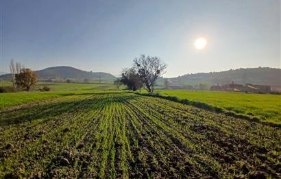 C21 LOCA'DAN BİGADİÇ ÇAMKÖY'DE BARAJ MANZARALI SATILIK ARAZİ