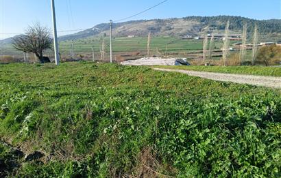 C21 LOCA'DAN BİGADİÇ ÇAMKÖY MAHALLE İÇİNDE 896,33M2SATILIK TARLA