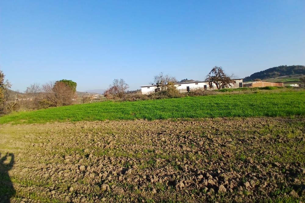 C21 LOCA'DAN BİGADİÇ ÇAMKÖY'DE BARAJ MANZARALI SATILIK ARAZİ