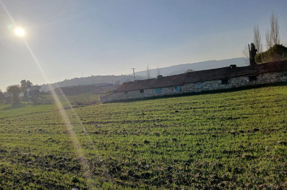 C21 LOCA'DAN BİGADİÇ ÇAMKÖY MAHALLESİNDE 896,33 M2 SATILIK TARLA