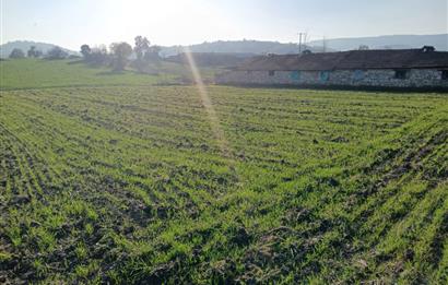C21 LOCA'DAN BİGADİÇ ÇAMKÖY MAHALLESİNDE 896,33 M2 SATILIK TARLA