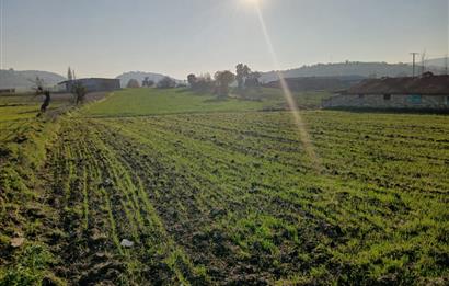 C21 LOCA'DAN BİGADİÇ ÇAMKÖY MAHALLESİNDE 896,33 M2 SATILIK TARLA