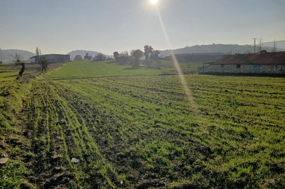 C21 LOCA'DAN BİGADİÇ ÇAMKÖY MAHALLESİNDE 896,33 M2 SATILIK TARLA