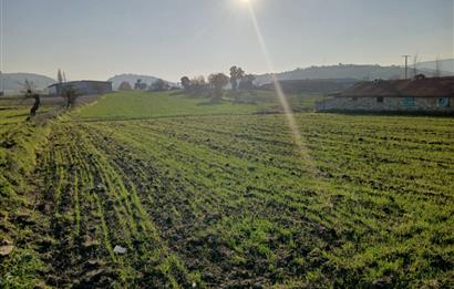 C21 LOCA'DAN BİGADİÇ ÇAMKÖY MAHALLESİNDE 896,33 M2 SATILIK TARLA