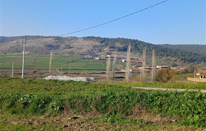 C21 LOCA'DAN BİGADİÇ ÇAMKÖY MAHALLESİNDE 896,33 M2 SATILIK TARLA