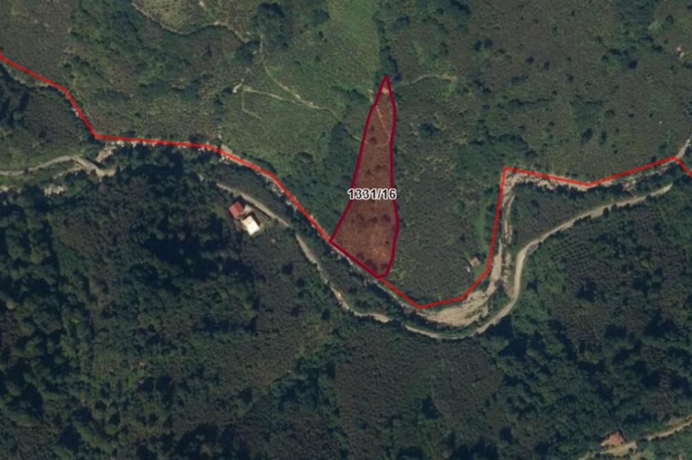 CENTURY 21'DEN PERŞEMBE BOLATLI MAH. 7 DÖNÜM FINDIK BAHÇESİ