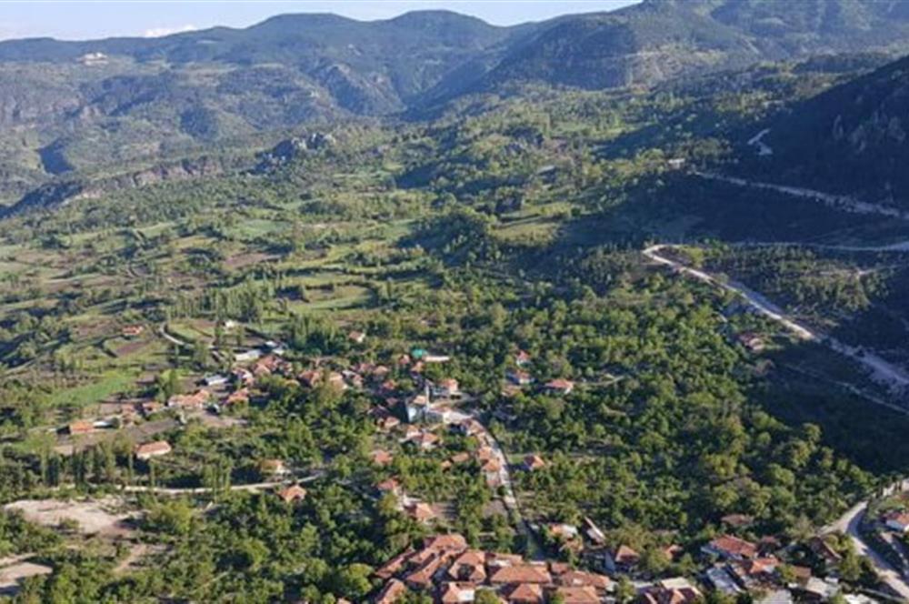 Balıkesir Bigadiç Yukarıçamlı SATILIK TARLA C21 Bal