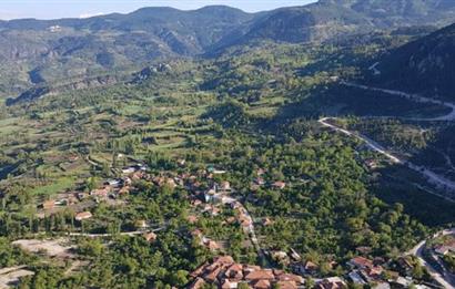 Balıkesir Bigadiç Yukarıçamlı SATILIK TARLA C21 Bal