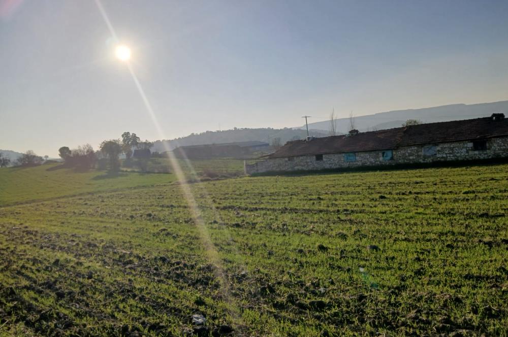 C21 LOCA'DAN BİGADİÇ ÇAMKÖY MAHALLESİNDE 896,33 M2 SATILIK TARLA